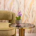 Mavi Luxury Bed and Breakfast 4*