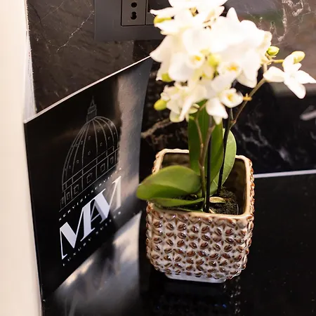 Bed & Breakfast Mavi Luxury Rome