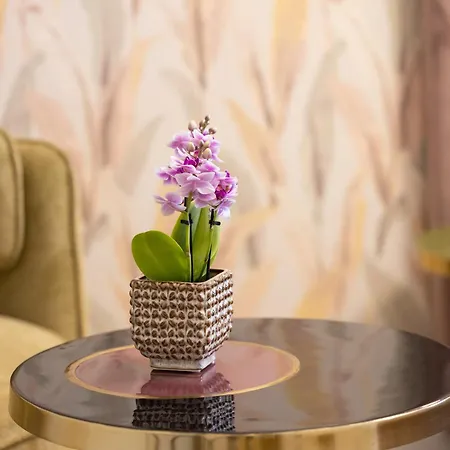 Bed & Breakfast Mavi Luxury Rome