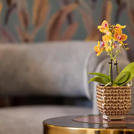 Bed and Breakfast Mavi Luxury