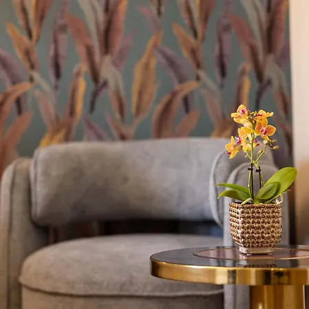 Alojamento de Acomodação e Pequeno-almoço Mavi Luxury Roma