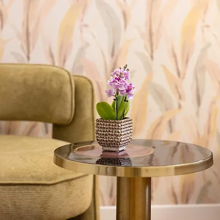 Mavi Luxury Frühstückspension 4*